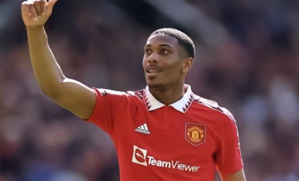 布朗的离开 布朗的离开